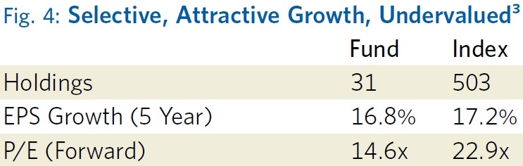 Fig 4 Selective Attractive Growth Undervalued